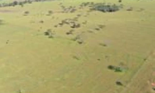 Imóvel 2539494 [''] - ['Fazenda Menino Jesus c/aprox. 539,52 hectares'] [''] - ['Deodápolis']/['MS'] - 1