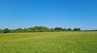 Imóvel 2584294 [''] - ['FAZENDA SERRA NEGRA, LUGAR DENOMINADO DOURADOS'] [''] - ['Patrocínio']/['MG'] - 1