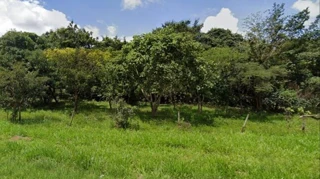 Imóvel 2359294 [''] - ['A. Rural , Fazenda Cruzeiros - Area Rural De Uberlandia'] ['Tabajaras'] - ['Uberlândia']/['MG'] - 1