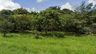 Imóvel 2359294 [''] - ['A. Rural , Fazenda Cruzeiros - Area Rural De Uberlandia'] ['Tabajaras'] - ['Uberlândia']/['MG'] - 1