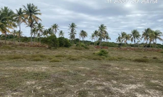 Imóvel 2275494 ['IDR184658'] - ["Estrada do Abais, s/n, Quadra 104, Lote 40, Loteamento Vila Rica do Abais, Itaporanga D'Ajuda, SE, 49120-000"] [''] - ["Itaporanga D'Ajuda"]/['SE'] - 1