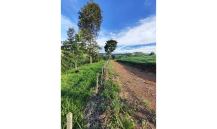 Imóvel rural em Anchieta, Linha Novo Seara, Linha Novo Seara, SC. Área: 184900m2 - imagem 0