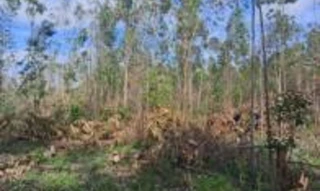Imóvel 2989794 [''] - ['Estrada 36, Loteamento Rural Eldorado - 4ª Parte, zona urbana'] [''] - ['Eldorado Do Sul']/['RS'] - 1