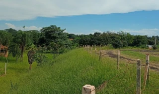 Imóvel 3023794 [''] - ['Rodovia BR-153, São Benedito da Capelinha (Zona Rural), São José do Rio Preto, SP'] [''] - ['São José Do Rio Preto']/['SP'] - 1