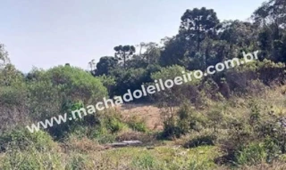 Imóvel 2698394 [''] - ['Rua Augusto Anciutti Sobrinho, s/n'] [''] - ['Irati']/['PR'] - 1