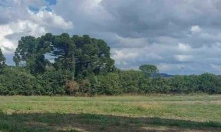 Imóvel 2905695 [''] - ['Área Rural, s/n - Santana, Coordenadas Aproximadas - 25.940720, -49.666338 - Área Rural - Campo do Tenente / PR'] [''] - ['Campo do Tenente']/['PR'] - 1