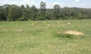 Imóvel 2689595 [''] - ['Estrada Municipal Itu-146, s/n - Gleba III - Cruz da Alma - Itu / SP'] [''] - ['Itu']/['SP'] - 1