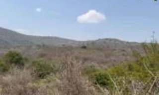 Imóvel 2668295 [''] - ['Zona do Umbuzeiro, Planalto'] [''] - ['Planalto']/['BA'] - 1