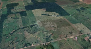 Imóvel 2997495 [''] - ['25km da cidade de Rolim de Moura, percurso realizado pela rodovia RO-010 e depois pela linha 200 norte'] [''] - ['Rolim De Moura']/['RO'] - 1