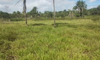 Imóvel 3040395 [''] - ['Rua Flor Luciana, S/N, Quadra 29 - Lote 23, Parque das Margaridas, Salinas da Margarida, BA, 44450-000, Rua Flor Luciana, Salinas da Margarida, BA, 44450-000'] [''] - ['Salinas Da Margarida']/['BA'] - 1