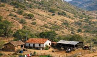 Imóvel 2940595 [''] - ['Fazenda São Simão, localizada no Município da Pedra-PE'] [''] - ['Pedra']/['PE'] - 1