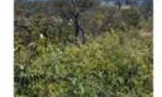 Imóvel 3030295 [''] - ['Fazenda Córrego Vereda'] [''] - ['Campinaçu']/['GO'] - 1