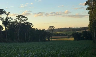 Imóvel 2703595 [''] - ['Linha Ribeirão Mosquito, Mosquito Grande'] ['Mosquito'] - ['Agronômica']/['SC'] - 1