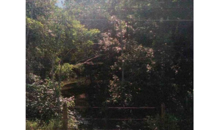 Terreno em Bertioga, Lot. Costa Do Sol, Rua de Servidão, s/nº, SP. Área: 666535m2