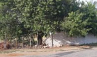 Imóvel 2610995 [''] - ['Terreno n° 131/133, Rua Nossa Senhora da Conceição, Parque Rosário'] ['Parque João Seixas'] - ['Campos Dos Goytacazes']/['RJ'] - 1