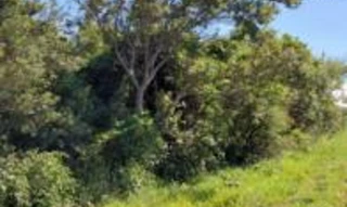 Imóvel 2855095 [''] - ['Rodovia RST-389 (Rod. Estrada do Mar ou Rod. Nelson Gonçalves), KM 31, B. Guará'] [''] - ['Xangri-Lá']/['RS'] - 1