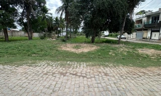Imóvel 2996796 [''] - ['Rodovia Campos Vitória, s/n°, km 5, Guarus'] [''] - ['Campos Dos Goytacazes']/['RJ'] - 1