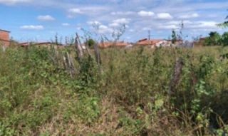 Imóvel 2589496 [''] - ['Rua Francisco Angelo, n°1507, Distrito de Uruarú, Morada Nova, CE, 62940-000, , Morada Nova/CE'] [''] - ['Morada Nova']/['CE'] - 1