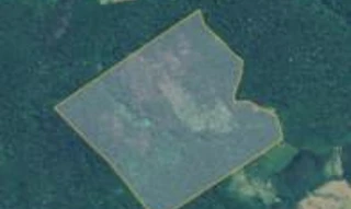 Imóvel 2578696 [''] - ['Ramal Puxuri'] [''] - ['Almeirim']/['PA'] - 1