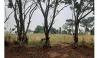 Imóvel 2601396 [''] - ['BR - 317, km 80'] [''] - ['Capixaba']/['AC'] - 1