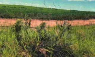 Imóvel 2693796 [''] - ['Fazenda Andrequicé, município de Presidente Olegário'] [''] - ['Presidente Olegário']/['MG'] - 1