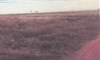 Imóvel 3058296 [''] - ['Fazenda Sete Lagoas, Córrego do Bauzinho e Pindaíbas'] [''] - ['Quirinópolis']/['GO'] - 1