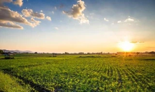 Imóvel 2686596 [''] - ['FAZENDA GAMELEIRA- LUGAR DENOMINADO PÉ DE MOLEQUE'] ['Gameleira'] - ['Coromandel']/['MG'] - 1