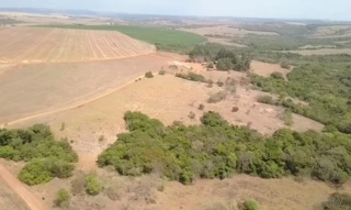 Imóvel 3040696 [''] - ['Fazenda Progressoo - Ipameri/GO'] [''] - ['Ipameri']/['GO'] - 1