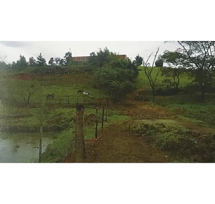 Imóvel rural em Itaquaquecetuba, Rio Abaixo, Estrada Municipal André Passarelli, Rio Abaixo, Itaquaquecetuba, SP, SP. Área: 85694m2 - imagem 0