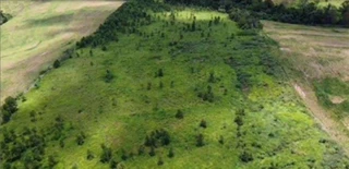 Imóvel 2939496 [''] - ['Área Rural, Lote 153-9, Gleba 10, Colônia Goioerê'] [''] - ['Janiópolis']/['PR'] - 1