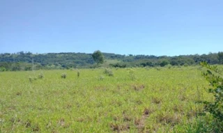 Imóvel 2860196 [''] - ['Sítio Água Doce, Zona Rural - São Simão/SP'] [''] - ['São Simão']/['SP'] - 1