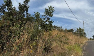 Imóvel 2716196 [''] - ['Rua 18, 21, Quadra 195, Loteamento Lagoa Quente, Caldas Novas, GO, 75690-000, , Caldas Novas/GO'] [''] - ['Caldas Novas']/['GO'] - 1