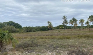Imóvel 2275496 ['IDR184653'] - ["Estrada do Abais, s/n, Quadra 104, Lote 35, Loteamento Vila Rica do Abais, Itaporanga D'Ajuda, SE, 49120-000"] [''] - ["Itaporanga D'Ajuda"]/['SE'] - 1