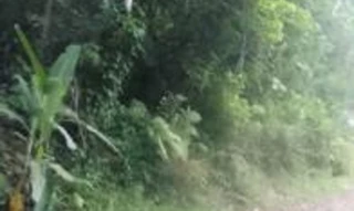 Imóvel 2588296 [''] - ['Estrada do Piavu, área "6-B", Bairro de Camburi, Distrito de Maresias'] ['Praia de Camburí'] - ['São Sebastião']/['SP'] - 1