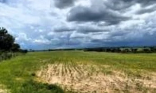 Imóvel 2976996 [''] - ['Fazenda Boa Sorte, Córrego do Piau, à margem direita da Rodovia BR-158'] [''] - ['Piranhas']/['GO'] - 1