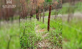 Imóvel 2688796 [''] - ['Área A - Bairro do Moinho'] ['Jardim Vista Alegre'] - ['Campo Limpo Paulista']/['SP'] - 1