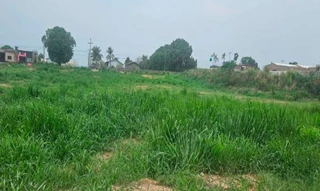 Imóvel 2608096 [''] - ['Rua Panama S/N (Lote 01-D da Quadra 598)'] [''] - ['Novo Progresso']/['PA'] - 1