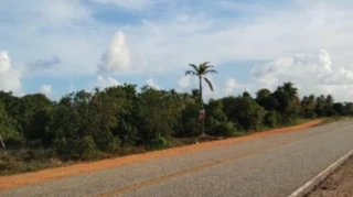 Imóvel 2486396 [''] - ["Rodovia Rubens Alves da Silva, Vila Rica do Abais, Itaporanga D'Ajuda/SE"] [''] - ["Itaporanga D'Ajuda"]/['SE'] - 1