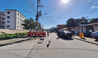 Imóvel 2421397 ['8787708406932'] - ['ESTRADA CABUCU DE BAIXO,N. 450 APTO. 302 BL 06, GUARATIBA - CEP: 23036-060, RIO DE JANEIRO - RIO DE JANEIRO'] ['Campo Grande'] - ['Rio De Janeiro']/['RJ'] - 1