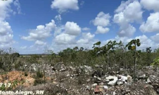 Imóvel 2694897 [''] - ['Estrada Acesso a Monte Alegre, S/N - Expansão Urbana, - Monte Alegre / RN'] [''] - ['Monte Alegre']/['RN'] - 1