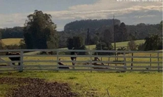 Imóvel 2607697 [''] - ['Estrada Vicinal, s/nº - Área rural - Zona Rural - Quinze de Novembro / RS'] [''] - ['Quinze De Novembro']/['RS'] - 1