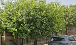 Imóvel 2717197 [''] - ['20% DA PARTE IDEAL DE UMA CASA, A.T 269,70m²'] ['Centro'] - ['Potirendaba']/['SP'] - 1