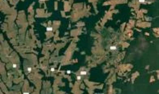 Imóvel 2968497 [''] - ['Fazenda Zordan, situada no Município de Nova Ubiratã'] [''] - ['Nova Ubiratã']/['MT'] - 1