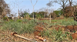 Imóvel 3042697 [''] - ['Chácara de terras sob nº27 (vinte e sete), da Quadra nº02 (dois), com a área de 1.075,00 metros quadrados, situada na planta do loteamento denominado CHACARAS AEROPORTO - NUCLEO "B, deste Município e Comarca, com as seguintes divisas, metragens e confrontações: "DIVIDE-SE: Ao NORTE, com a chácara nº20 na distância de 20,00 metros; A LESTE, com a chácara nº26 na distância de 53,75 metros; Ao SUL, com a Rua Santa Catarina na distância de 20,00 metros; E finalmente com a chá