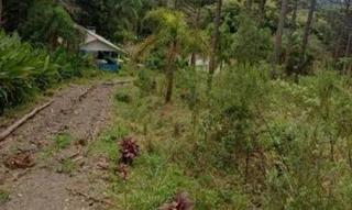Imóvel 2482397 [''] - ['AVENIDA DAS ARAUCÁRIAS-LADEIRA'] [''] - ['São João Do Triunfo']/['PR'] - 1