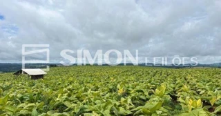 Imóvel 2667397 [''] - ['Virmond/PR, Zona Rural'] [''] - ['Virmond']/['PR'] - 1