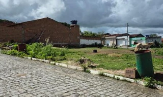 Imóvel 2940597 [''] - ['Rua Lindovaldo Freitas'] [''] - ['Sanharó']/['PE'] - 1