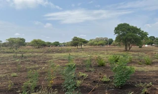 Imóvel 2544197 [''] - ['Lote nº 09 da Quadra nº 47'] [''] - ['Araguacema']/['TO'] - 1