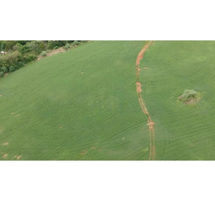 Imóvel rural em Viadutos, , Linha Lambari, interior, s/nº, RS. Área: 61666.5m2