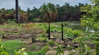 Imóvel 2581097 [''] - ['Rua Camerino, 210 - CENTRO'] ['Centro'] - ['Estância']/['SE'] - 1